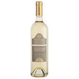 Bottega Chardonnay IGT Delle Venezie Singapore
