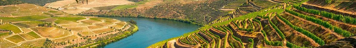 Wines from Chile